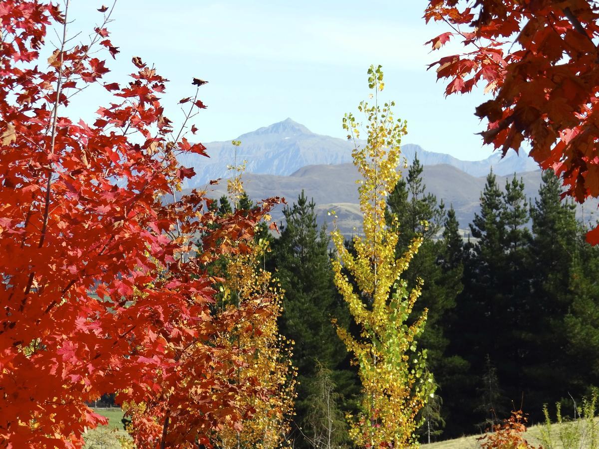 Mitchella Farm Apartment Wanaka Bagian luar foto