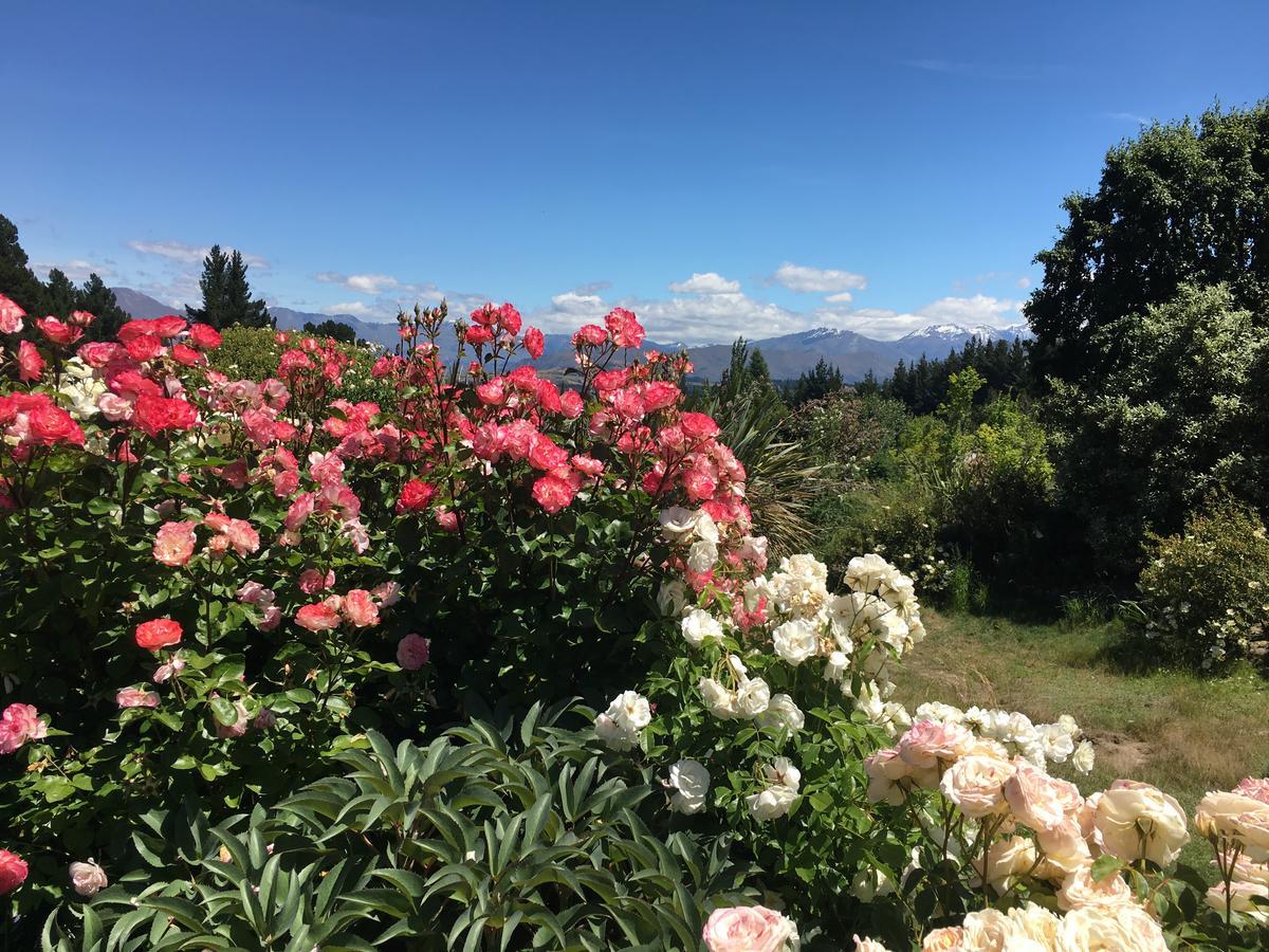 Mitchella Farm Apartment Wanaka Bagian luar foto